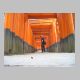 IMG_1851.JPG